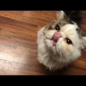 Meet your Posher, Esperanza